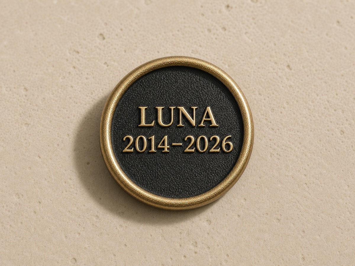 Custom Cat Nose Memorial Plaque, Antique Brass Keepsake, Personalised Pet Gift