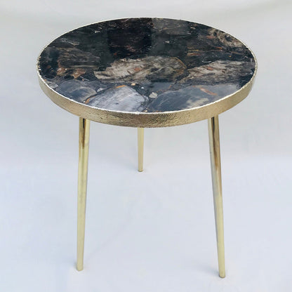 Black Petrified Wood Agate Round Edge Side/Coffee Table