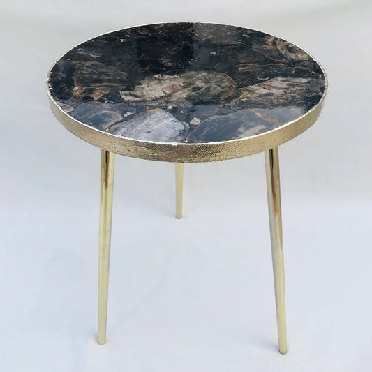 Black Petrified Wood Agate Round Edge Side/Coffee Table