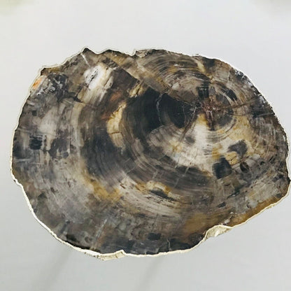 Petrified Wood Agate/Single Piece/Crystal/Gemstone/Quartz Organic Edge Side/Coffee/Table