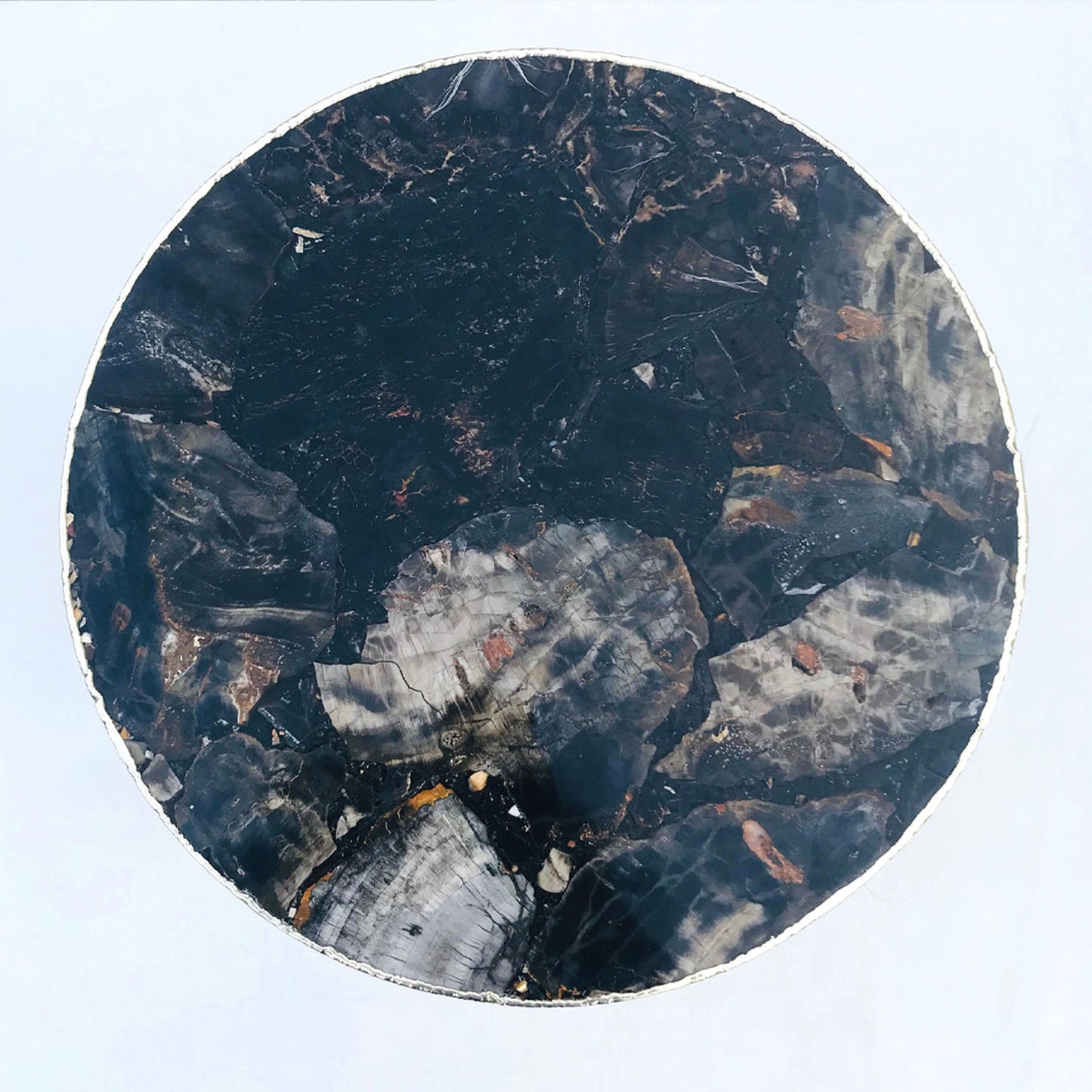 Black Petrified Wood Agate Round Edge Side/Coffee Table