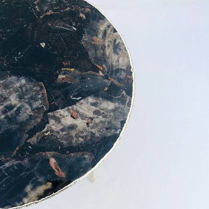 Black Petrified Wood Agate Round Edge Side/Coffee Table