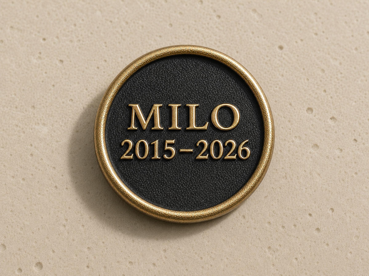 Custom Cat Paw Memorial Plaque, Antique Brass Keepsake, Personalised Cat Paw Print Ornament
