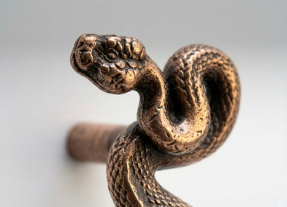 Swirling Snakes Brass Cabinet Handles | Antique Finish (Set of 2)