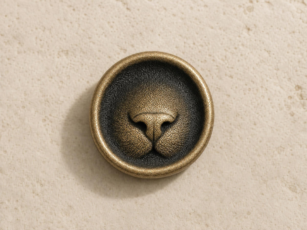 Custom Cat Nose Memorial Plaque, Antique Brass Keepsake, Personalised Pet Gift