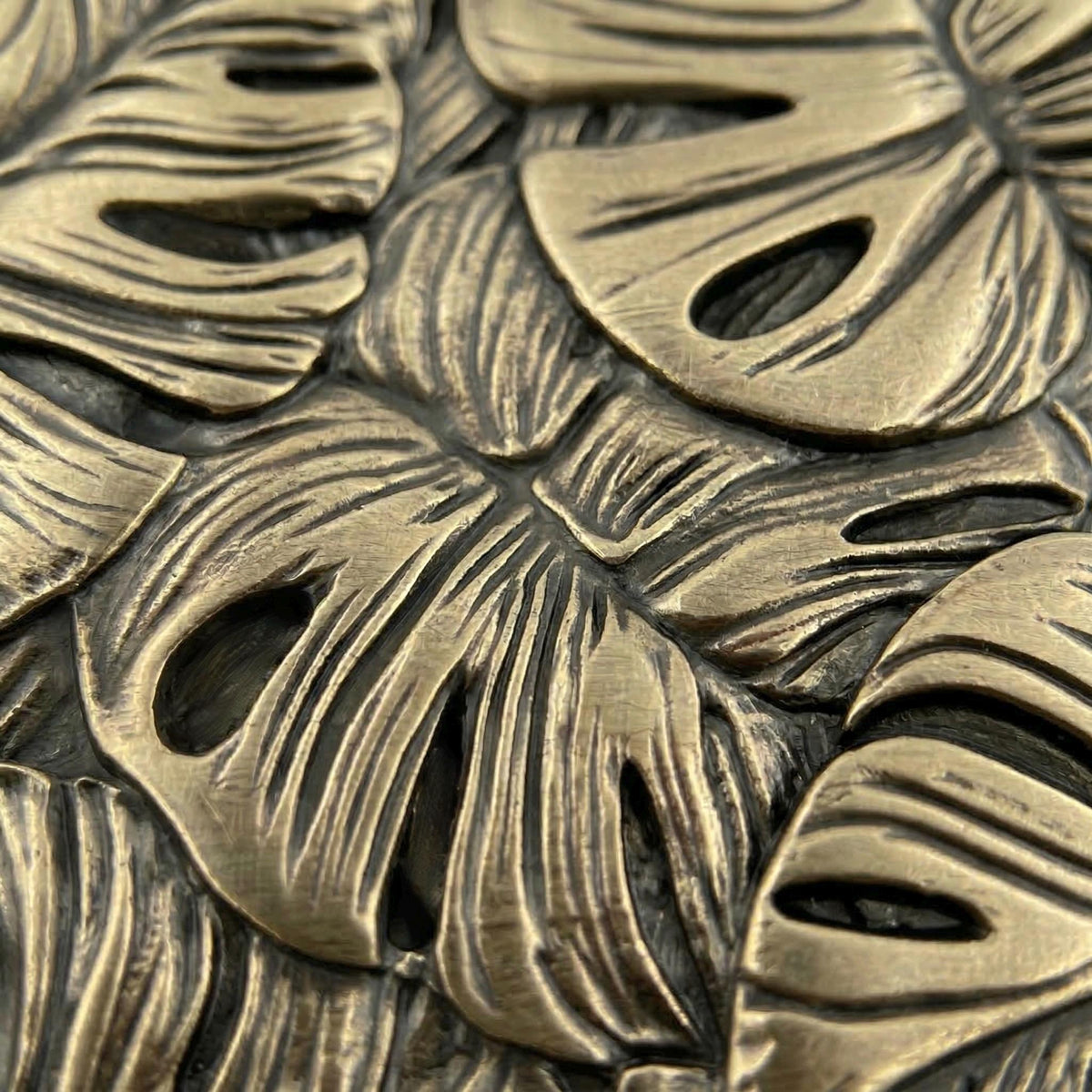 Close-up of the split monstera leaves and their veins