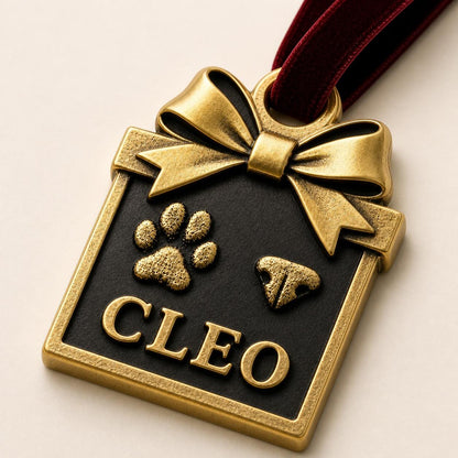 Close angled view of the box-shaped ornament with the bow, paw, nose and CLEO
